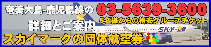 スカイマーク団体航空券・奄美大島から鹿児島線のフライトスケジュールとチェックイン手続きについて