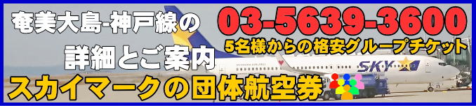 スカイマーク団体航空券・奄美大島から神戸線のフライトスケジュールとチェックイン手続きについて