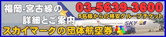 スカイマーク団体航空券・福岡から宮古下地島間のフライトスケジュールとチェックイン手続き
