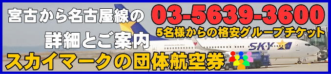スカイマーク団体航空券の宮古下地島から名古屋のフライトスケジュールとチェックイン手続き